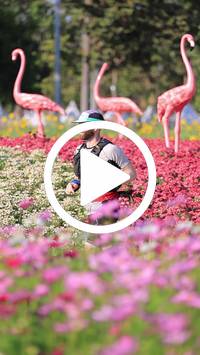 BIB:  <button type="button" onclick="openModal(27588499)" class="btn btn-primary btn-sm float-right" data-toggle="modal" data-target=".modal-high-quality">
                <i class="fa fa-download"></i> Download
                </button>